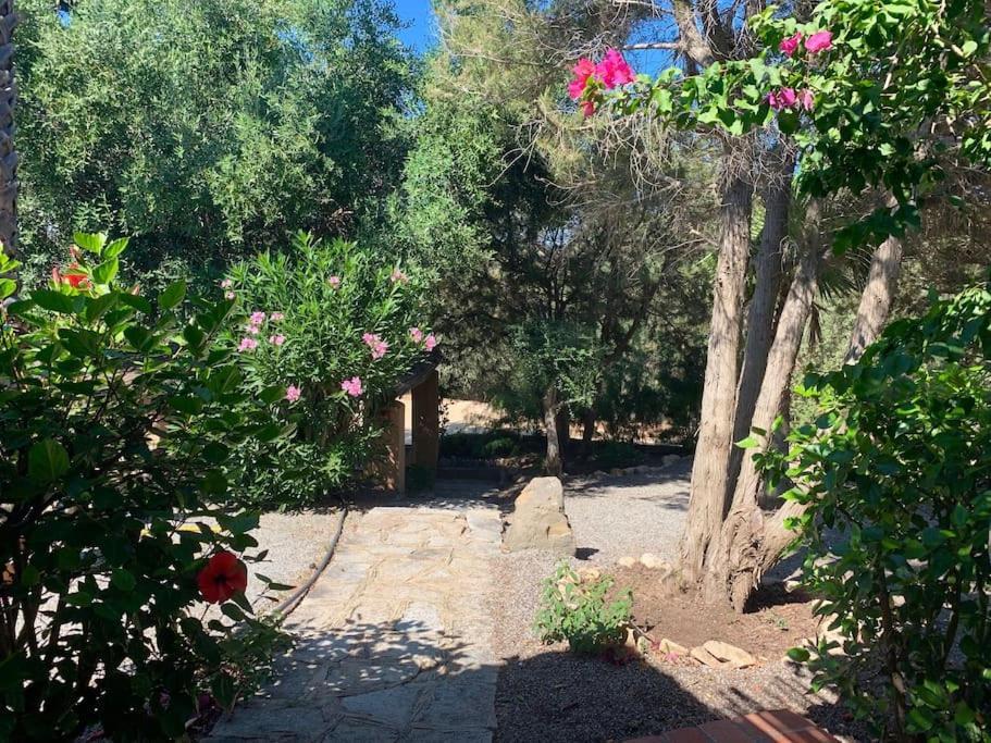Villa Margiu Villasimius Εξωτερικό φωτογραφία